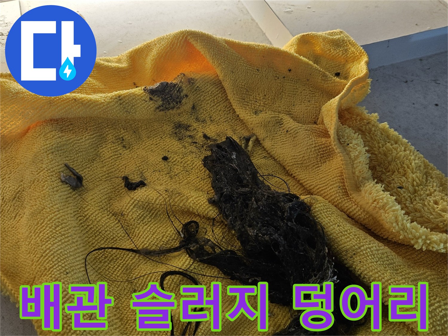 욕조 내부에서 나온 검은색 오염물과 머리카락 뭉치