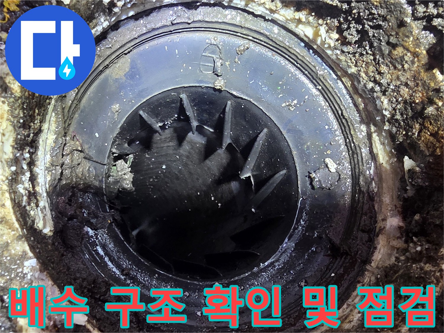 세탁실 배출부 내부의 트랩과 연결 부위 상태를 촬영한 이미지입니다.