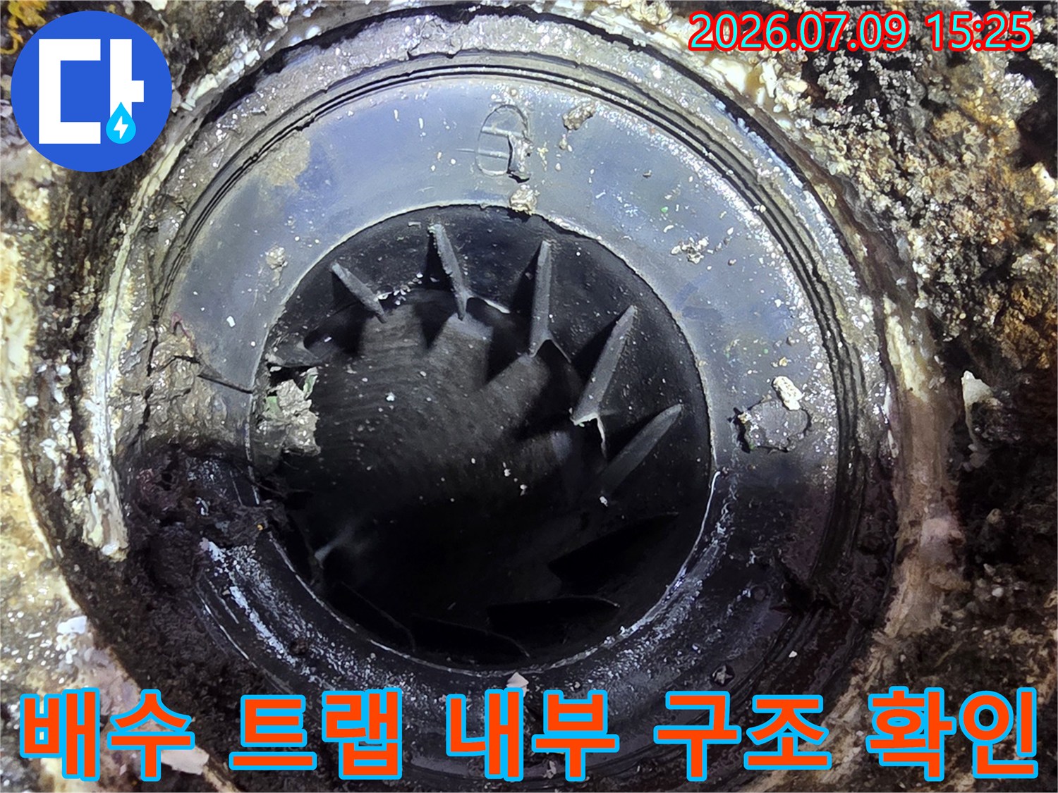 오염된 배수 트랩과 하수관 연결 부위의 상세 모습