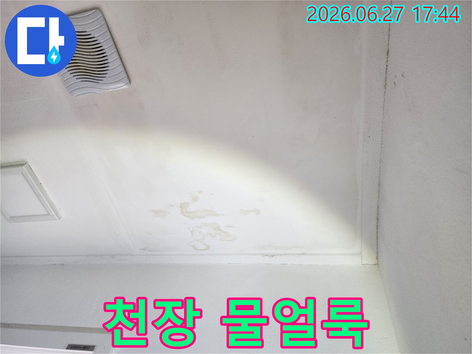 천장-표면에-나타난-물-얼룩과-습기로-인한-변색-현장-사진