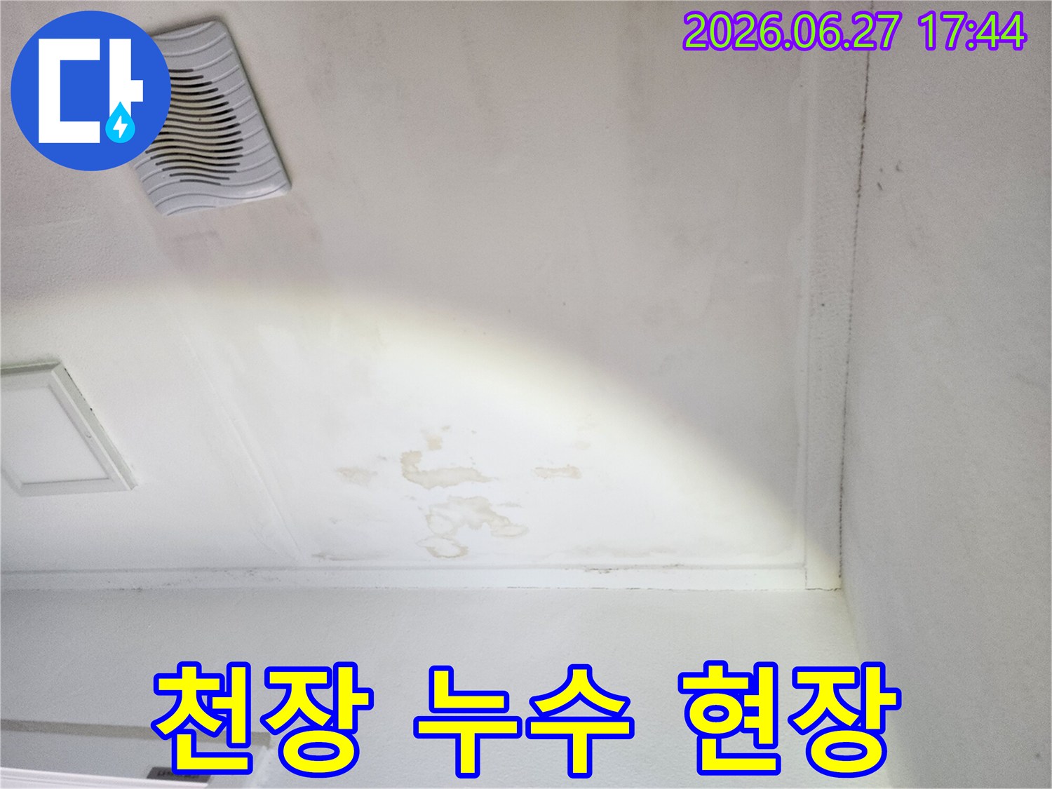 천장-표면에-나타난-물-얼룩과-습기로-인한-변색-현장-사진