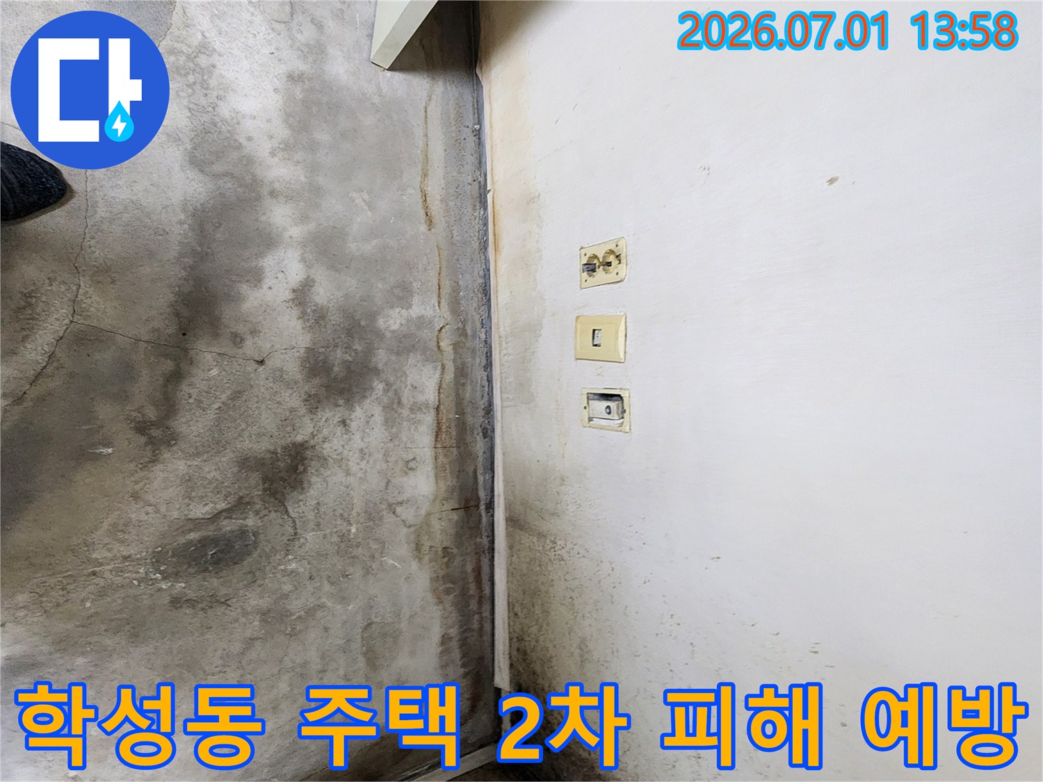 울산-학성동-주택-내부-벽면과-바닥에-누수로-인한-심각한-곰팡이와-오염이-발생한-현장-사진