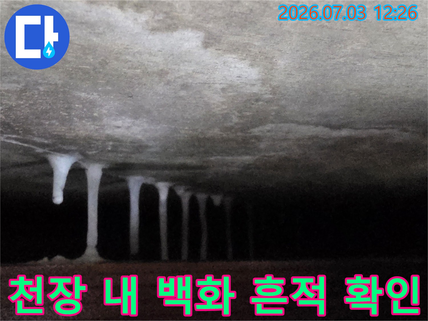 누수의 증거인 천장 고드름 형태의 석회질 축적 상태