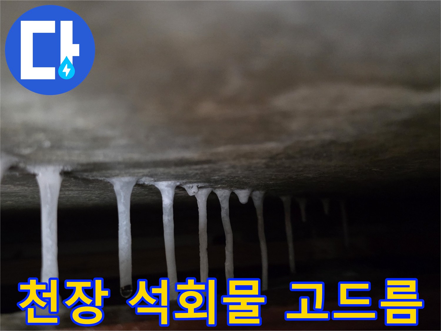 아파트 천장 내부에서 발견된 하얀색 석회물 고드럼 형태의 백화 현상