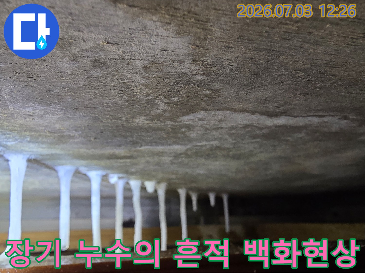 천장 배관 라인에 형성된 석회성 고드름과 지속적인 물 유입 증거