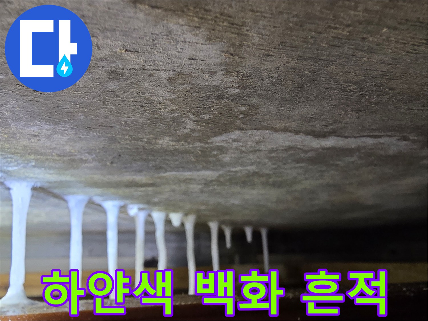 천장 콘크리트-석회물이 굳은 고드름 형태