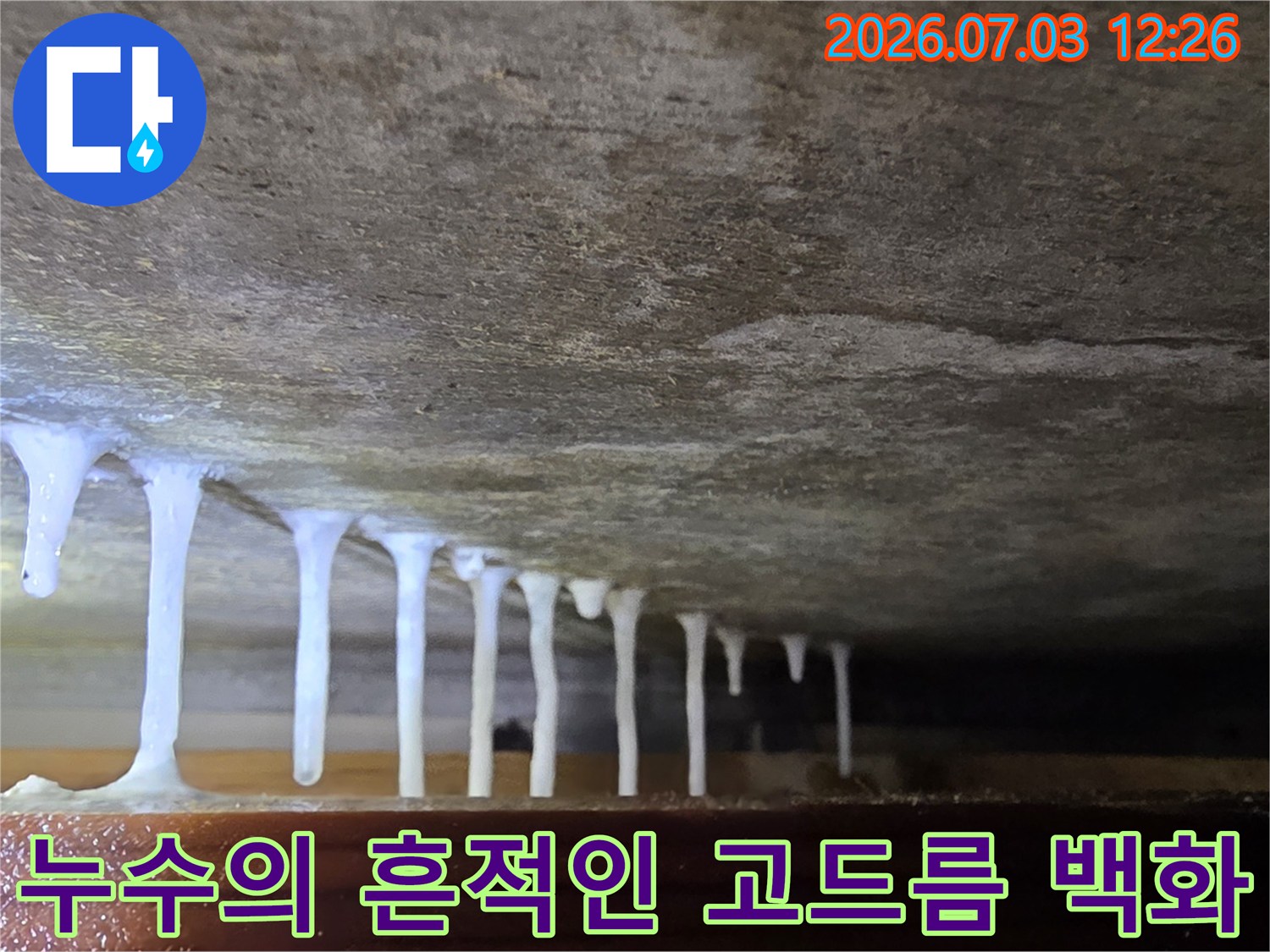 천장 콘크리트 성분이 굳어 형성된 누수 증거의 고드름 형태