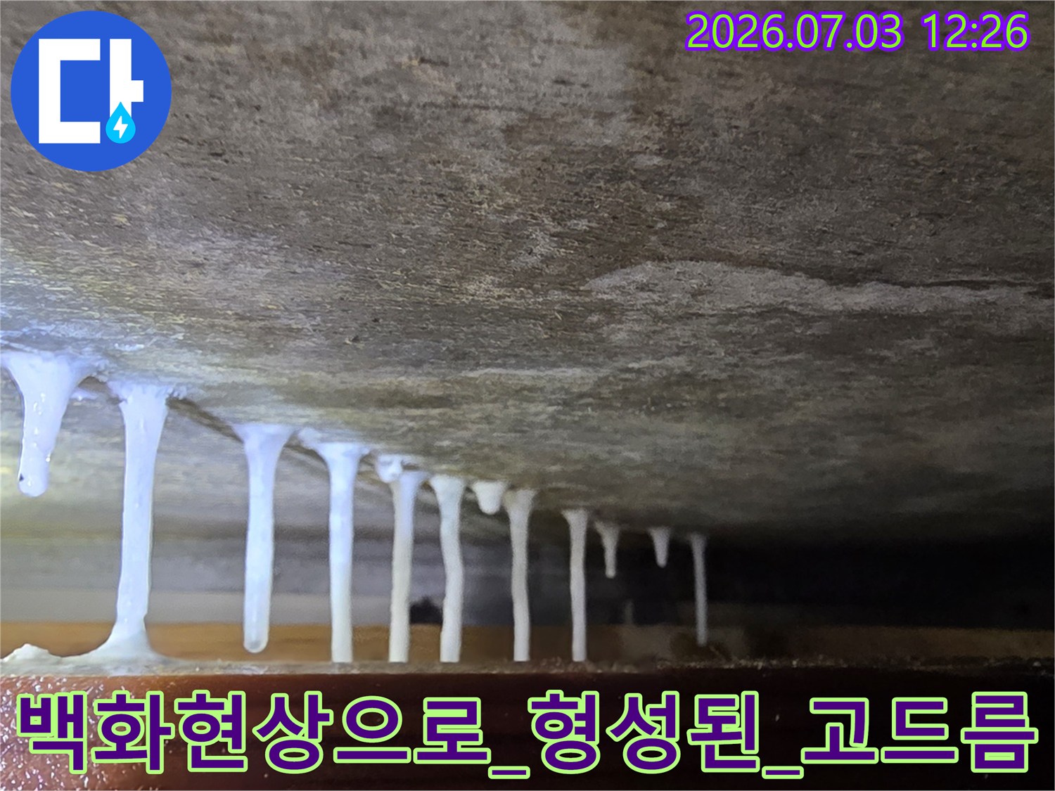 천장 콘크리트면에서 굳어진 백화 현상을 근접 촬영한 모습