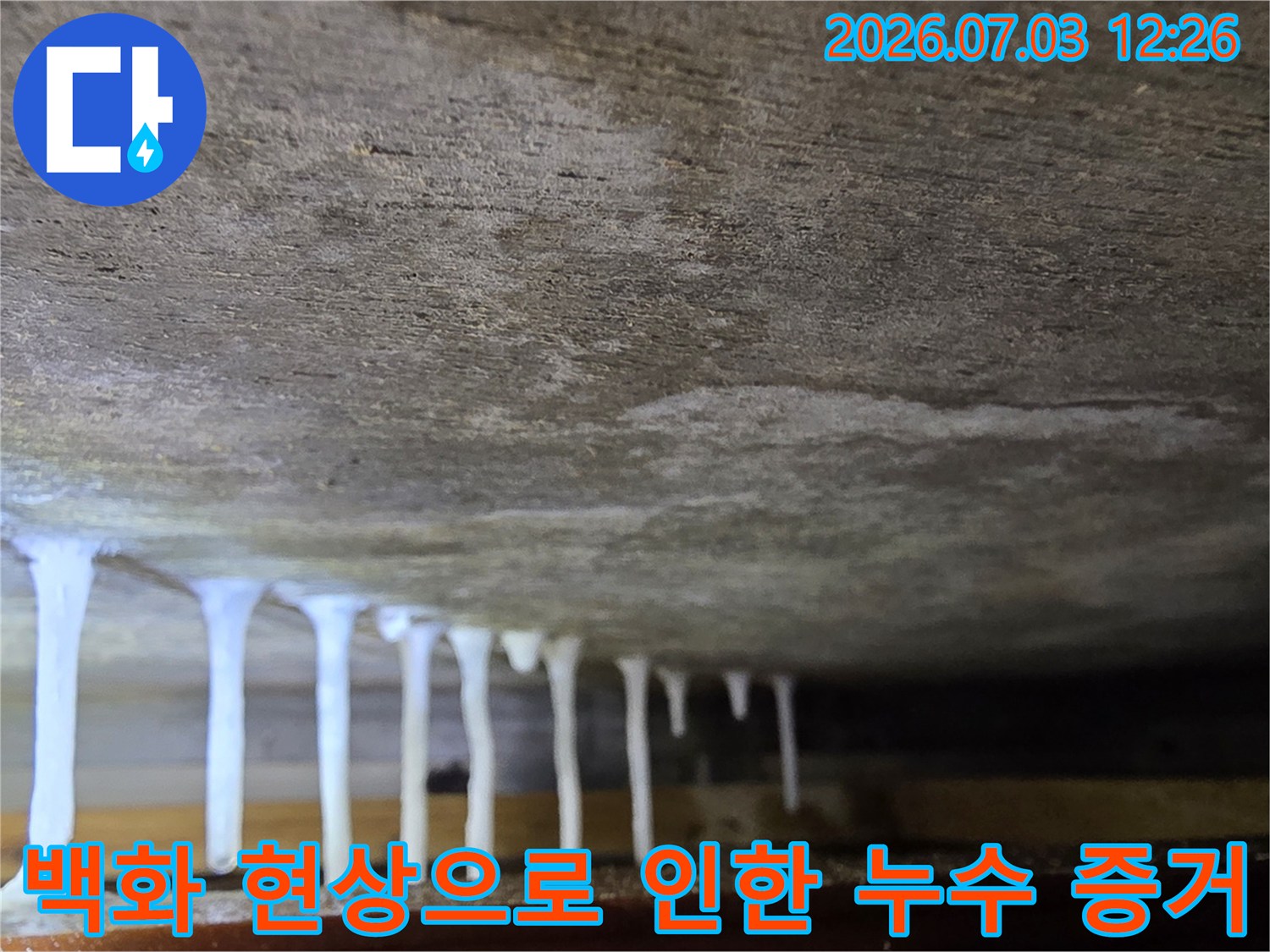 콘크리트 천장에서 발생한 고드름 모양의 백화가 줄지어 있는 정밀 점검용 사진