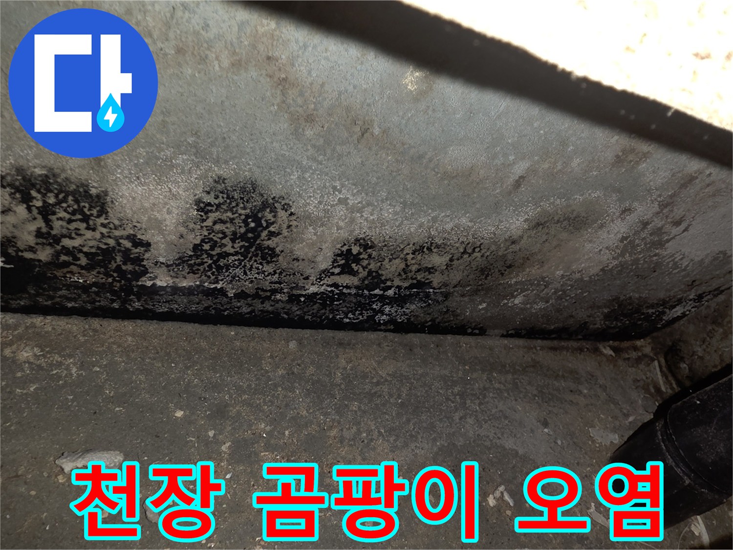 누수-흔적으로-인한-천장-마감재의-심한-곰팡이-오염