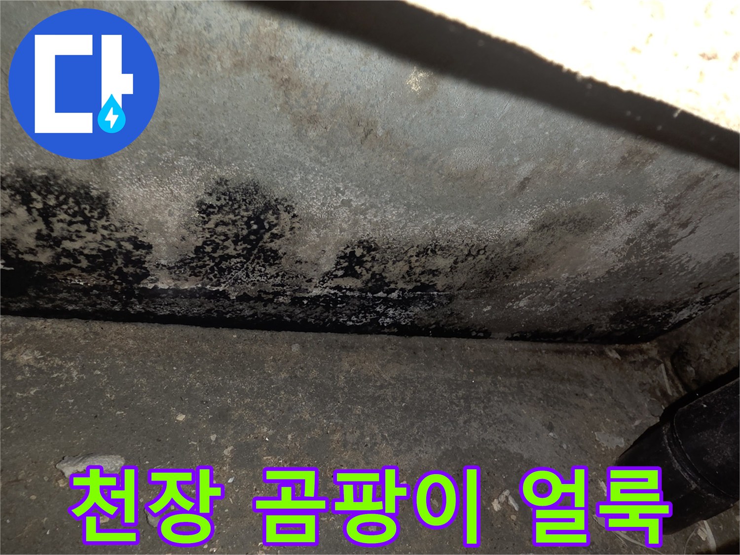 아랫집-주방-천장에-발생한-심한-곰팡이와-습기-자국