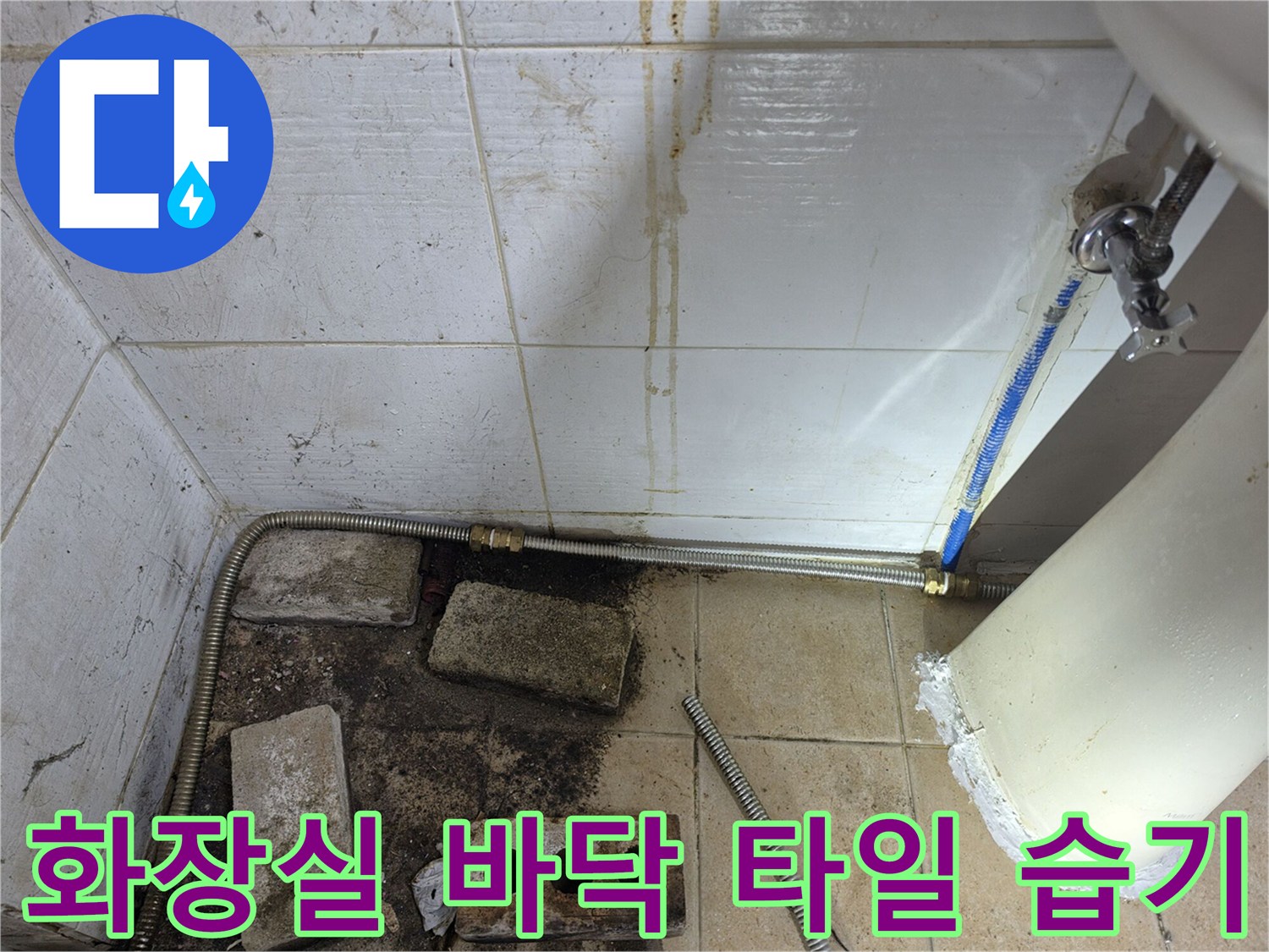 바닥-타일-틈새에-고인-습기와-오염된-배관-부속