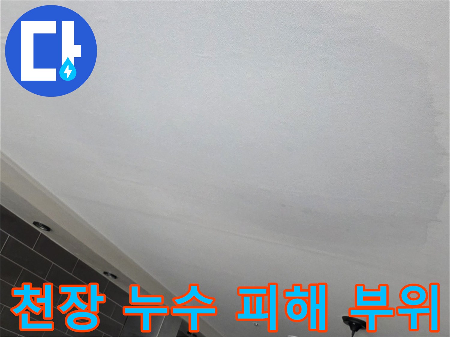 미세 누수로 인해 넓게 번진 거실 천장의 젖은 얼룩