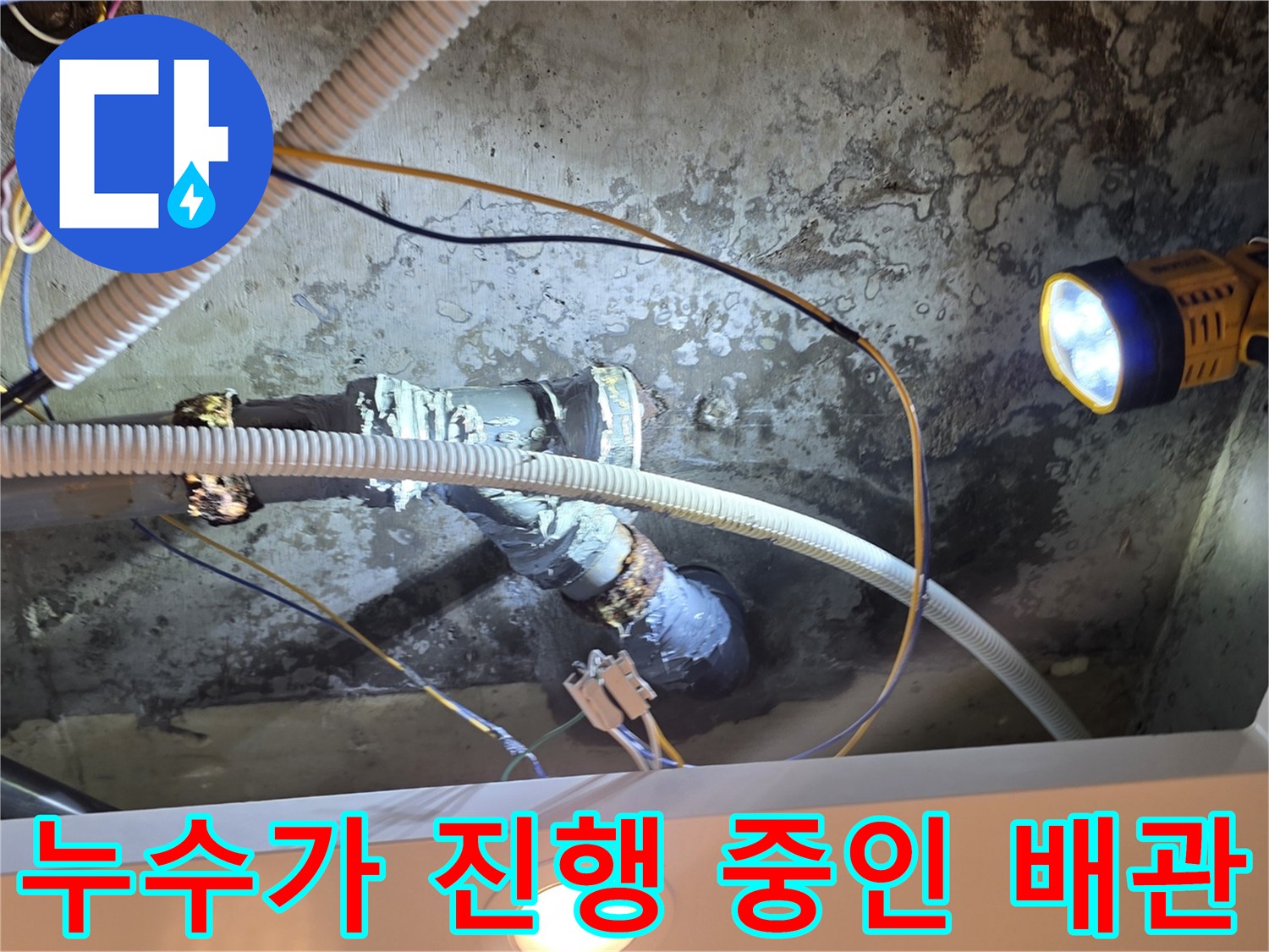 중랑구-신내동-아파트-천장-배관-누수-현황