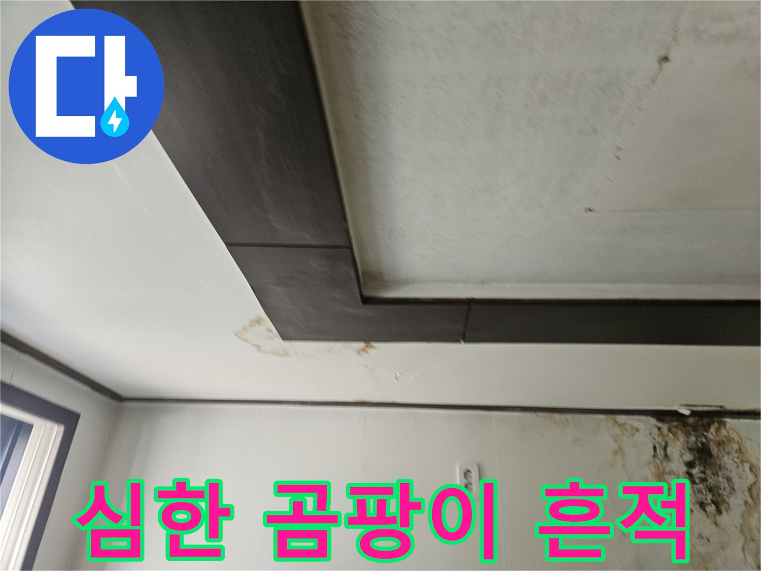물샘 현상으로 인해 오염된 천장 몰딩과 벽면 곰팡이