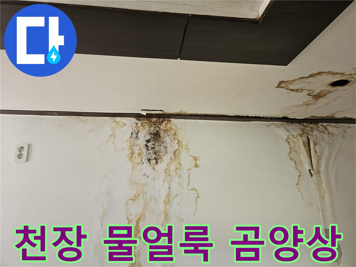 성북구 정릉동 현장의 천장 및 벽면 곰팡이 발생 상태