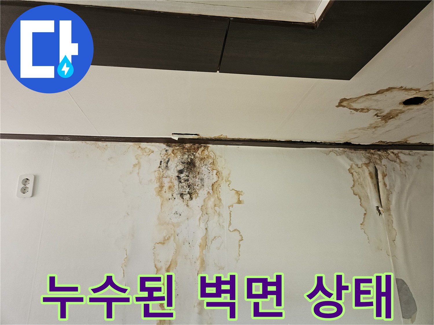 성북구 정릉동 현장의 천장과 벽면에 나타난 심각한 물 얼룩 및 곰팡이