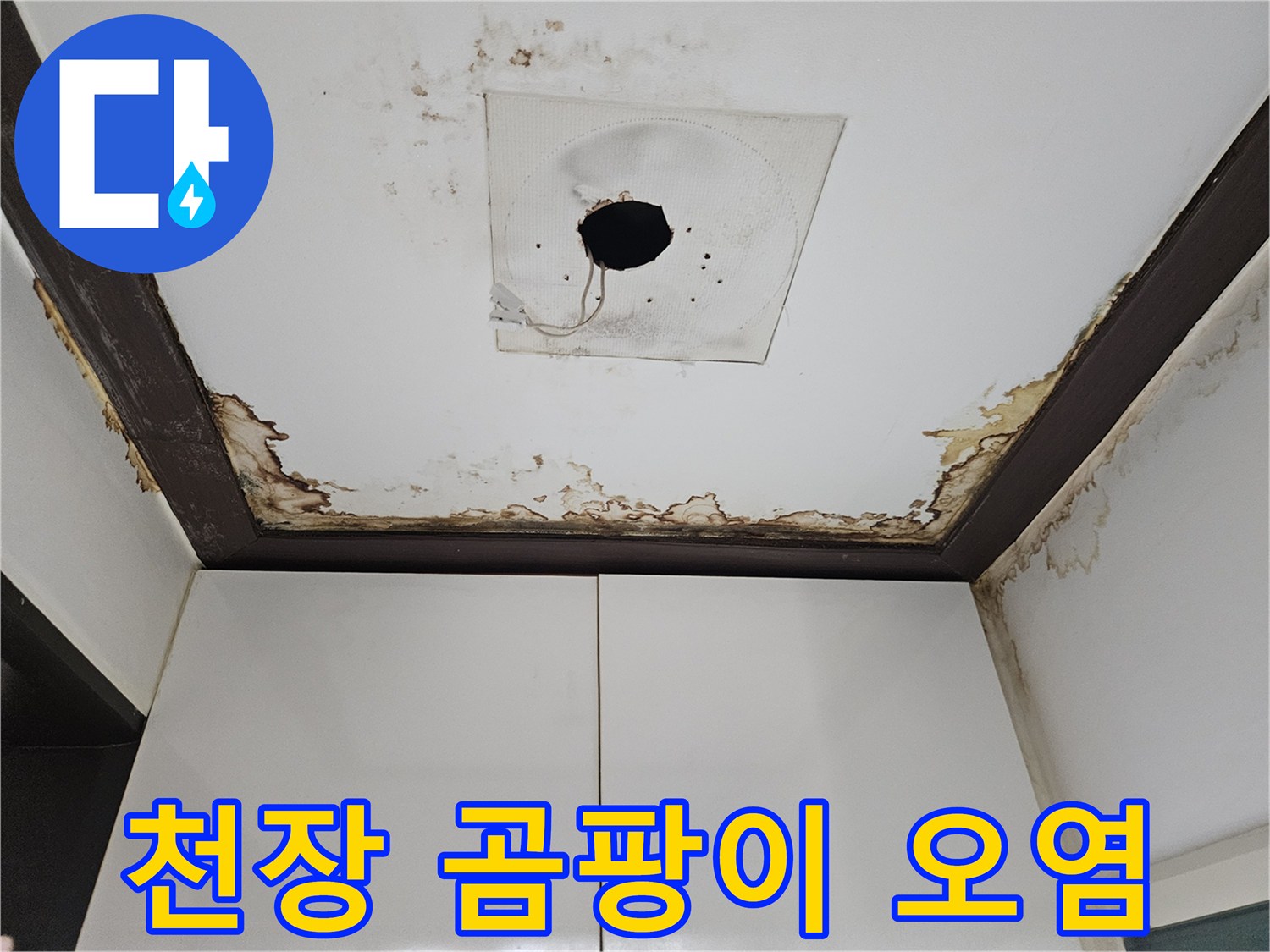 욕실-천장-마감재-주변의-심한-곰팡이-및-오염-부위