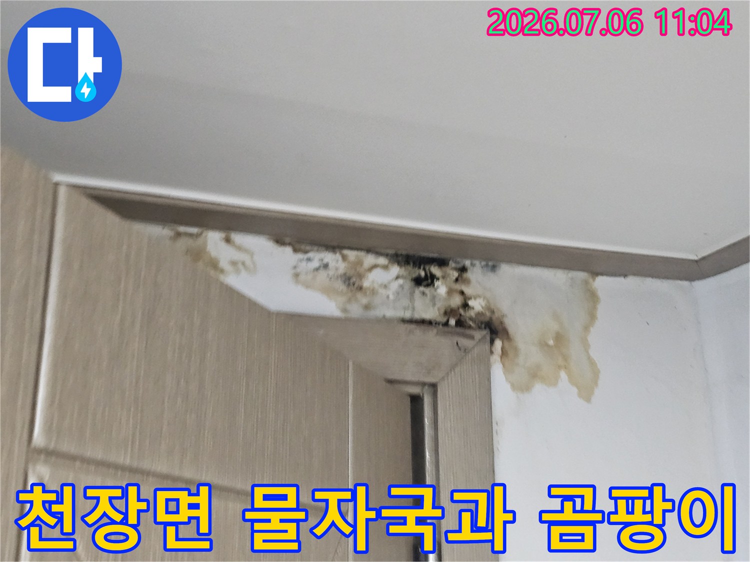 지하층 천장 벽면 경계 부위에 발생한 갈색 물자국과 검은 곰팡이 흔적