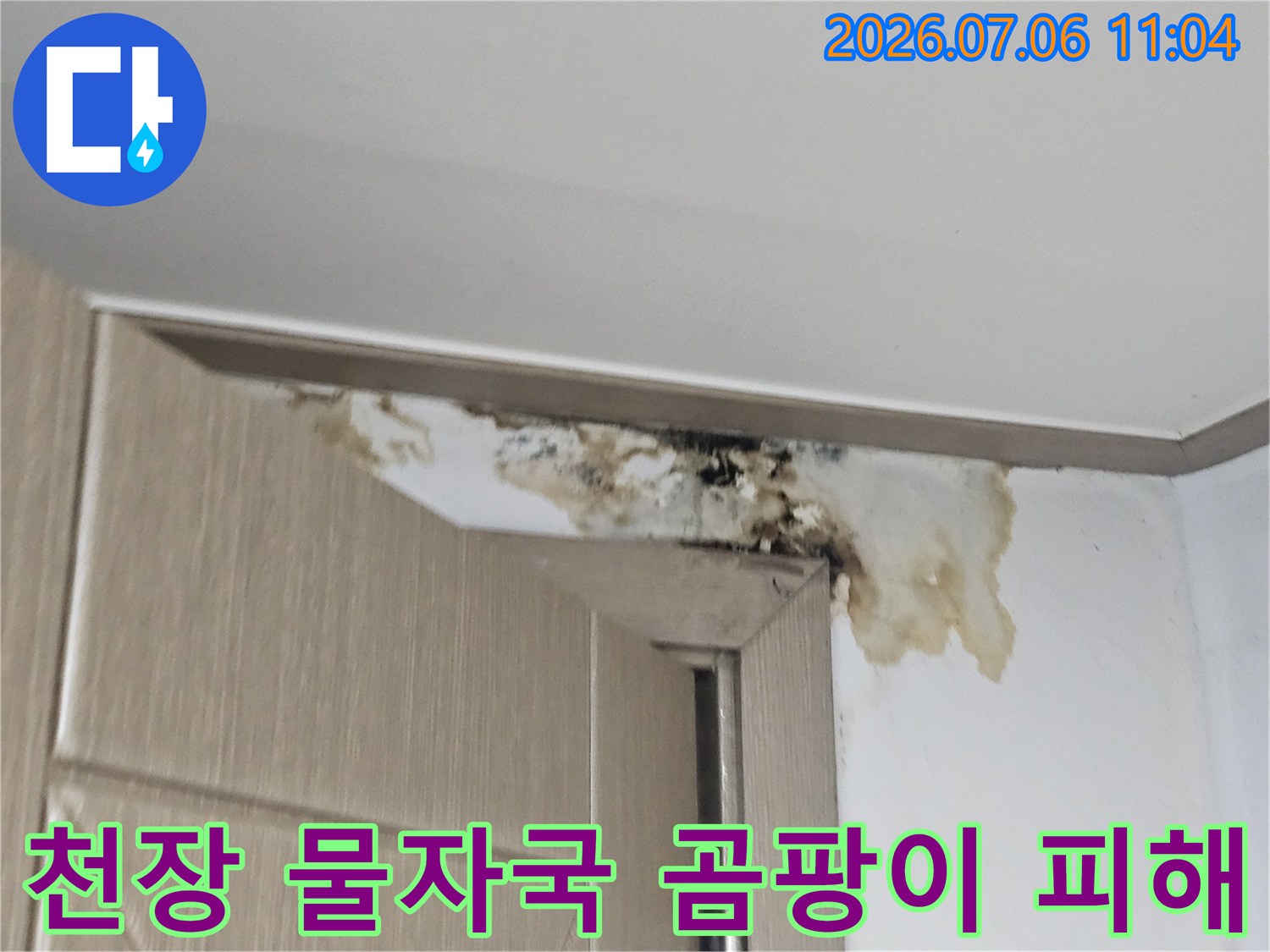 지하층 천장 벽면의 누수로 인한 물자국과 곰팡이 발생 현황