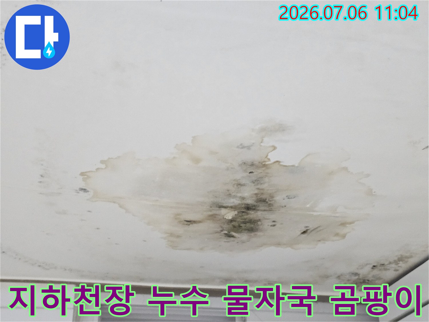지하층 천장에 발생한 대형 누수 흔적과 곰팡이 오염 부위