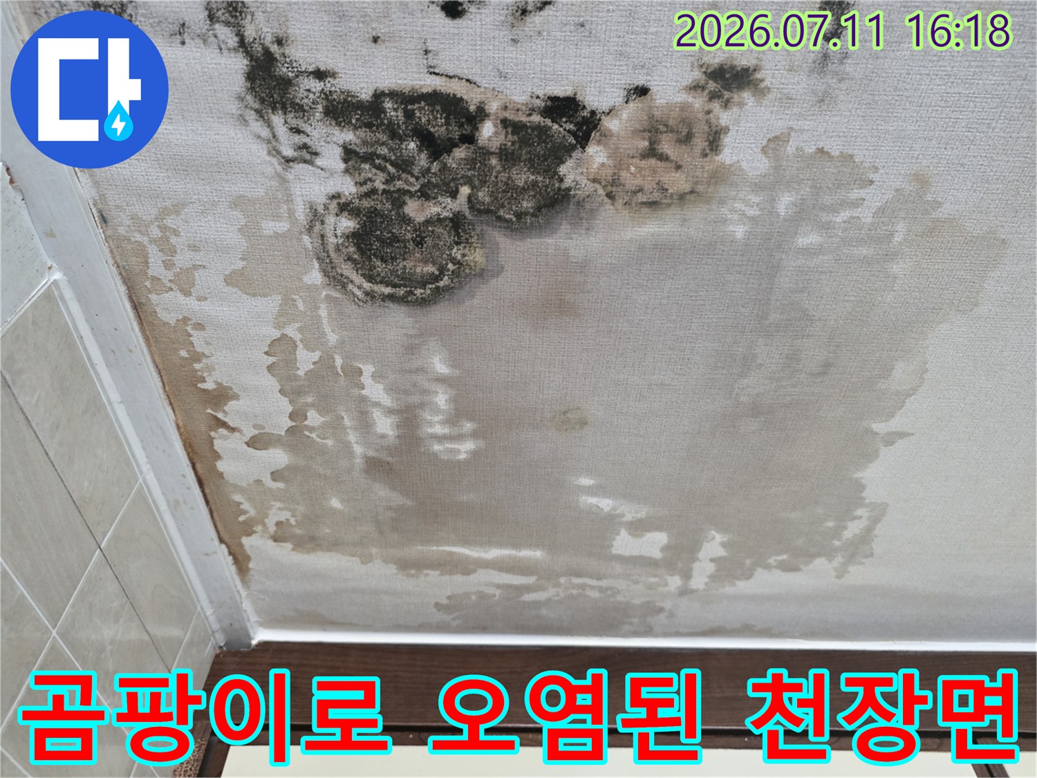 누수로 인해 곰팡이가 번지고 변색된 아파트 내벽과 천장