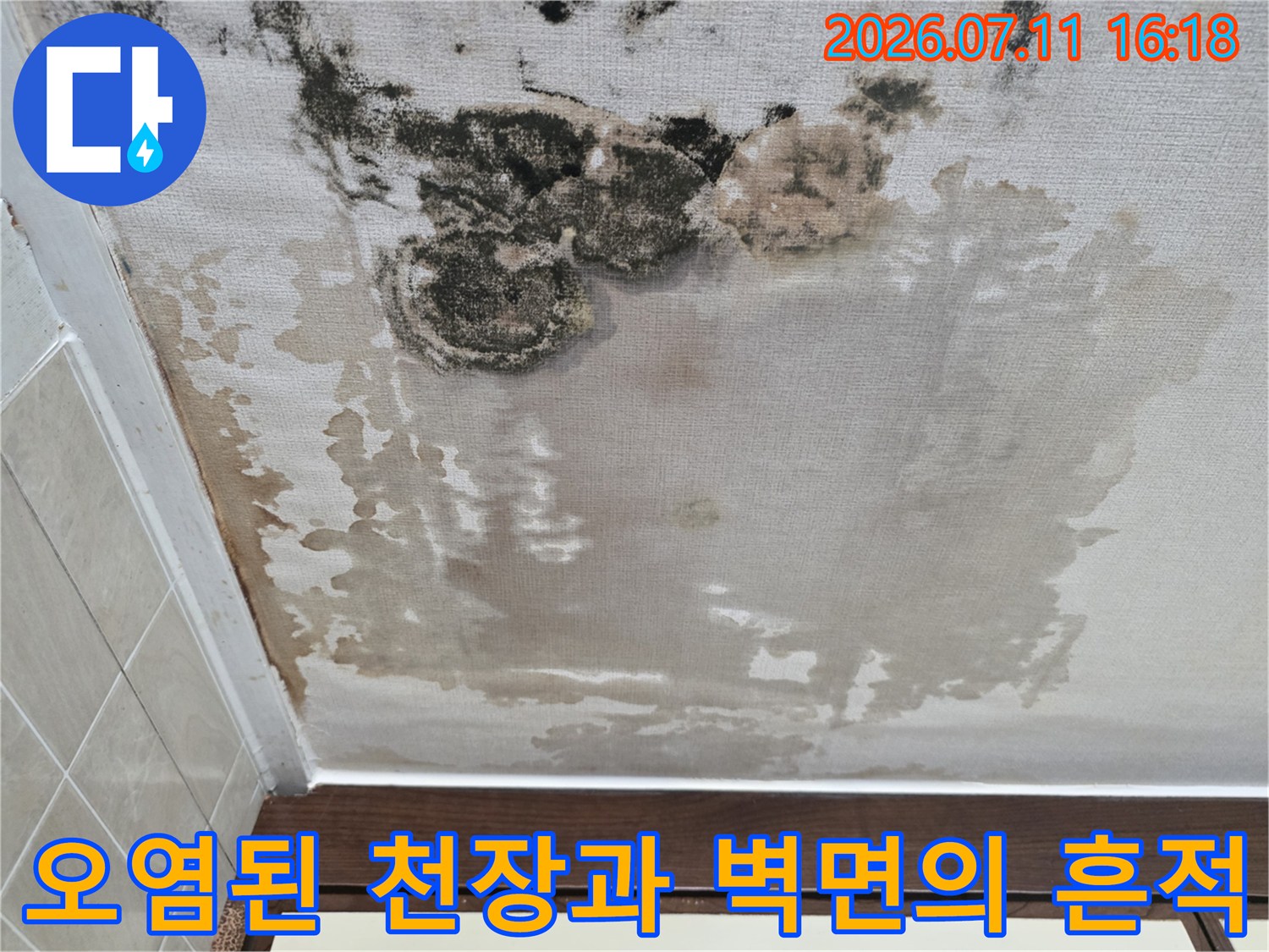 누수의 영향으로 변색되고 곰팡이가 발생한 천장의 세부 모습