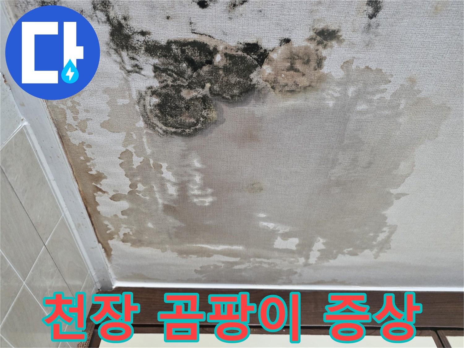 물샘으로 인해 발생한 천장 곰팡이와 변색