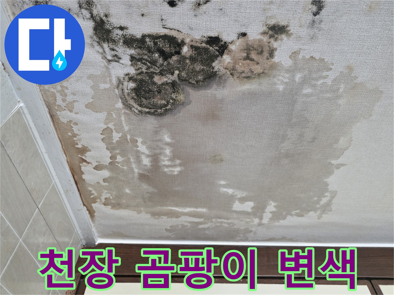 인천 서구 아파트 천장의 심한 곰팡이와 벽지 오염 상태