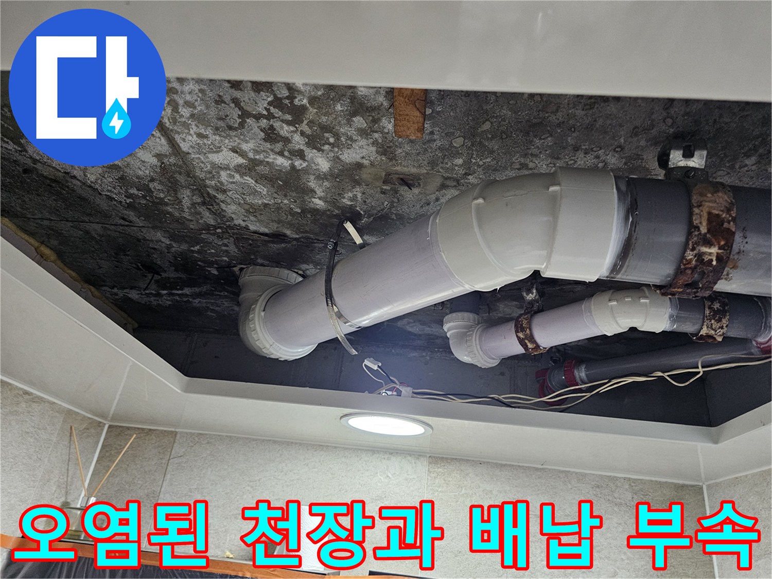 곰팡이가-발생한-천장-면과-하수관-연결-부위