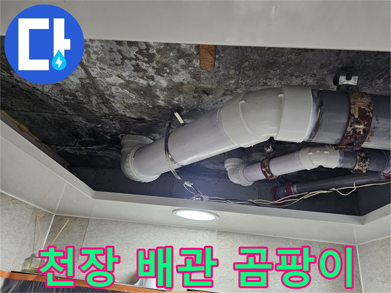 천장 내부 배관 주변의 검은색 곰팡이 오염 부위