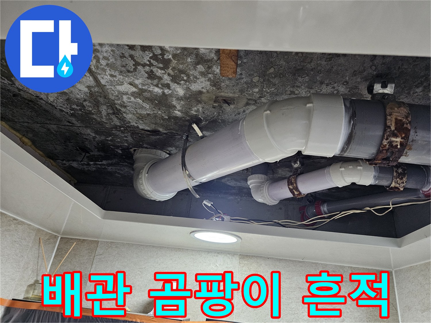 화장실 천장 배관 주변의 검은 곰팡이와 얼룩 상태