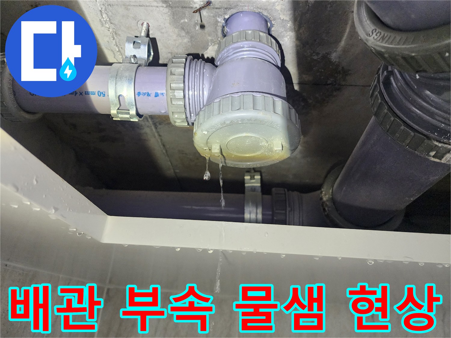하수 배관 엘보 연결 부위에서 물이 맺혀 떨어지는 모습 - 성북구 현장