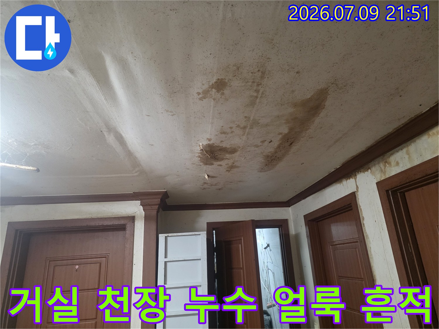 거실 천장에 발생한 갈색 물자국과 습기로 인한 얼룩 현장