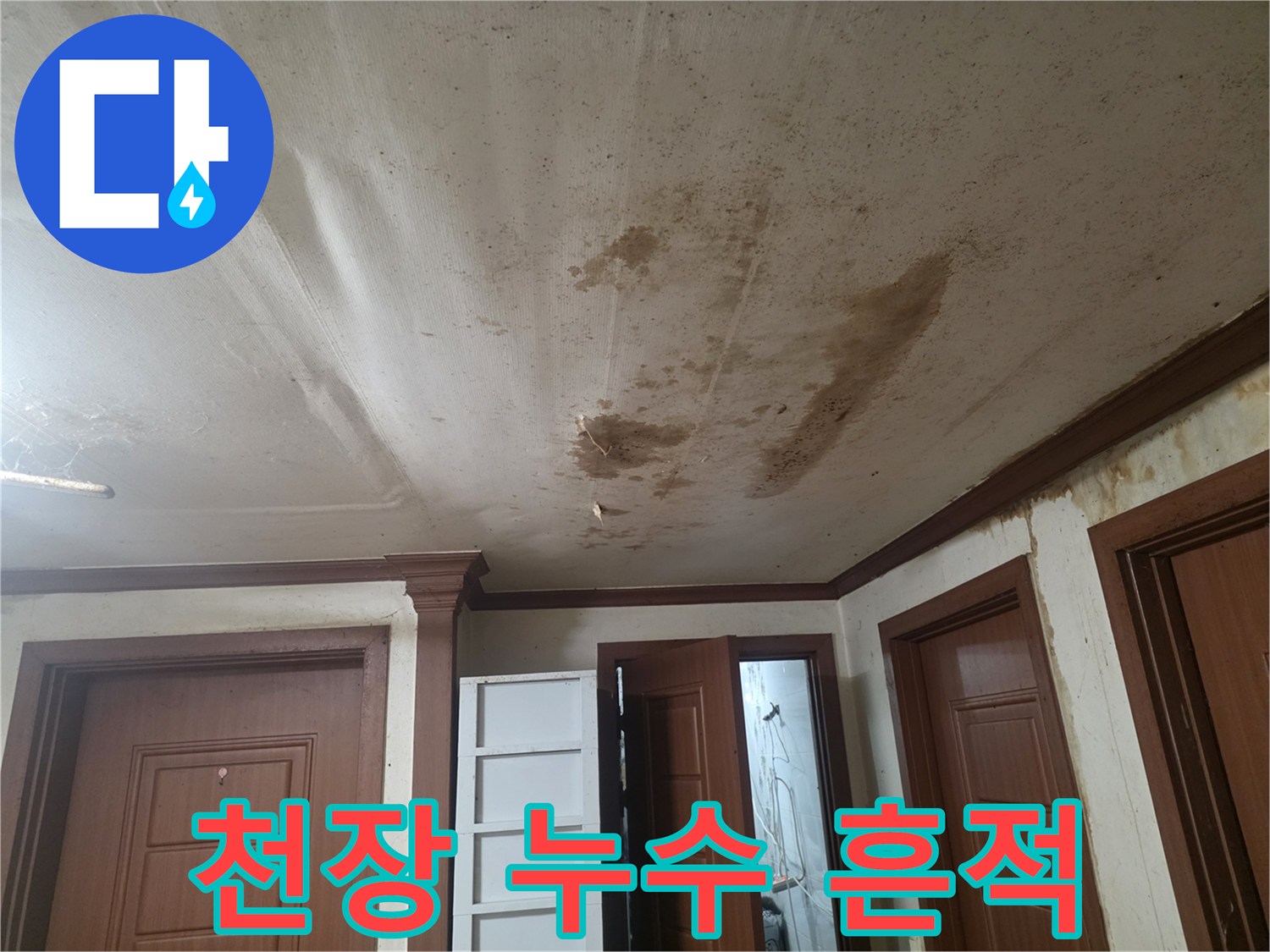누수 발생 지점을 중심으로 번져나간 천장 얼룩 사진