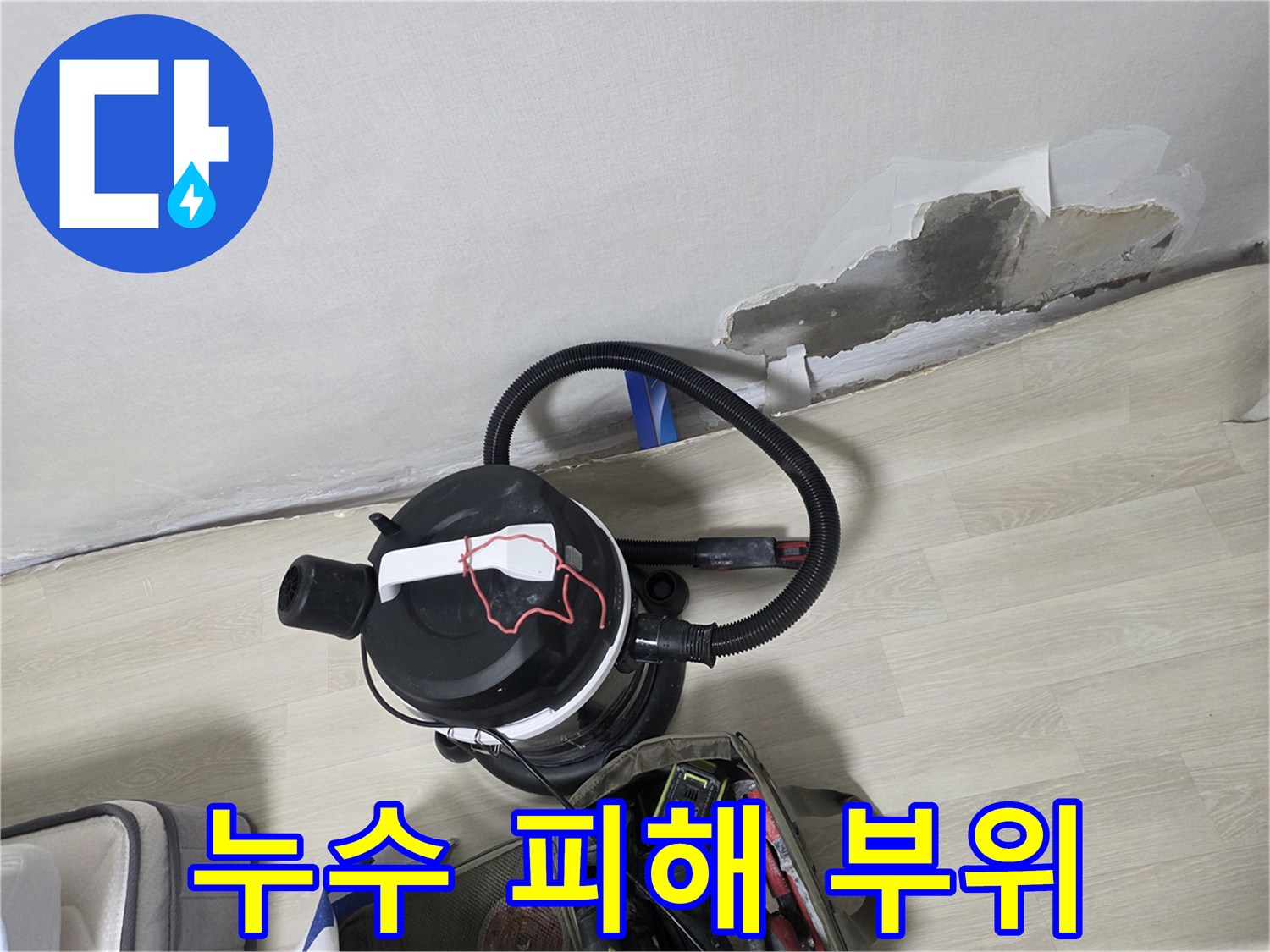 젖은 벽면과 벗겨진 도배지-누수 지점 확인 과정
