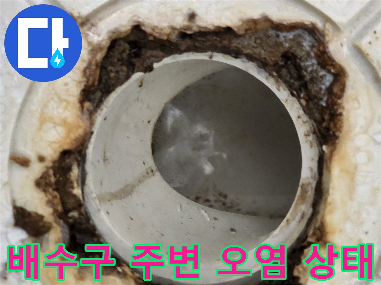 화장실-배수구-주변의-이물질과-오염된-상태를-보여주는-사진