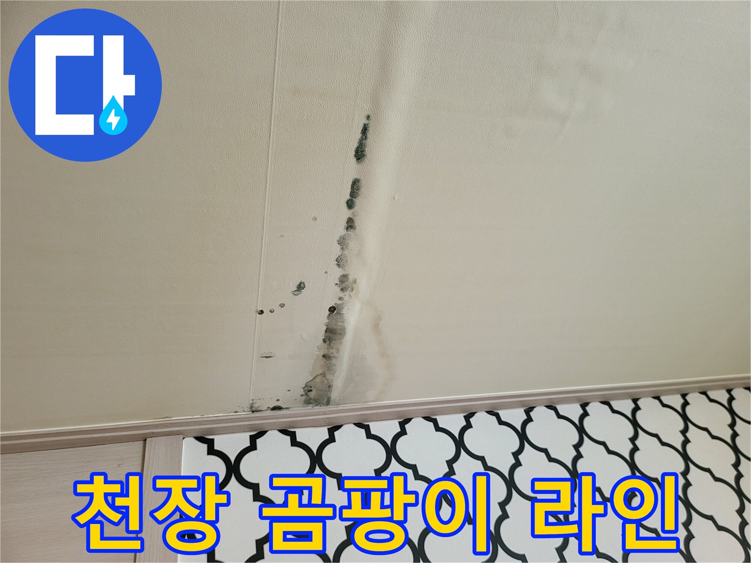 천장 벽지를 타고 흐른 물자국과 곰팡이 흔적