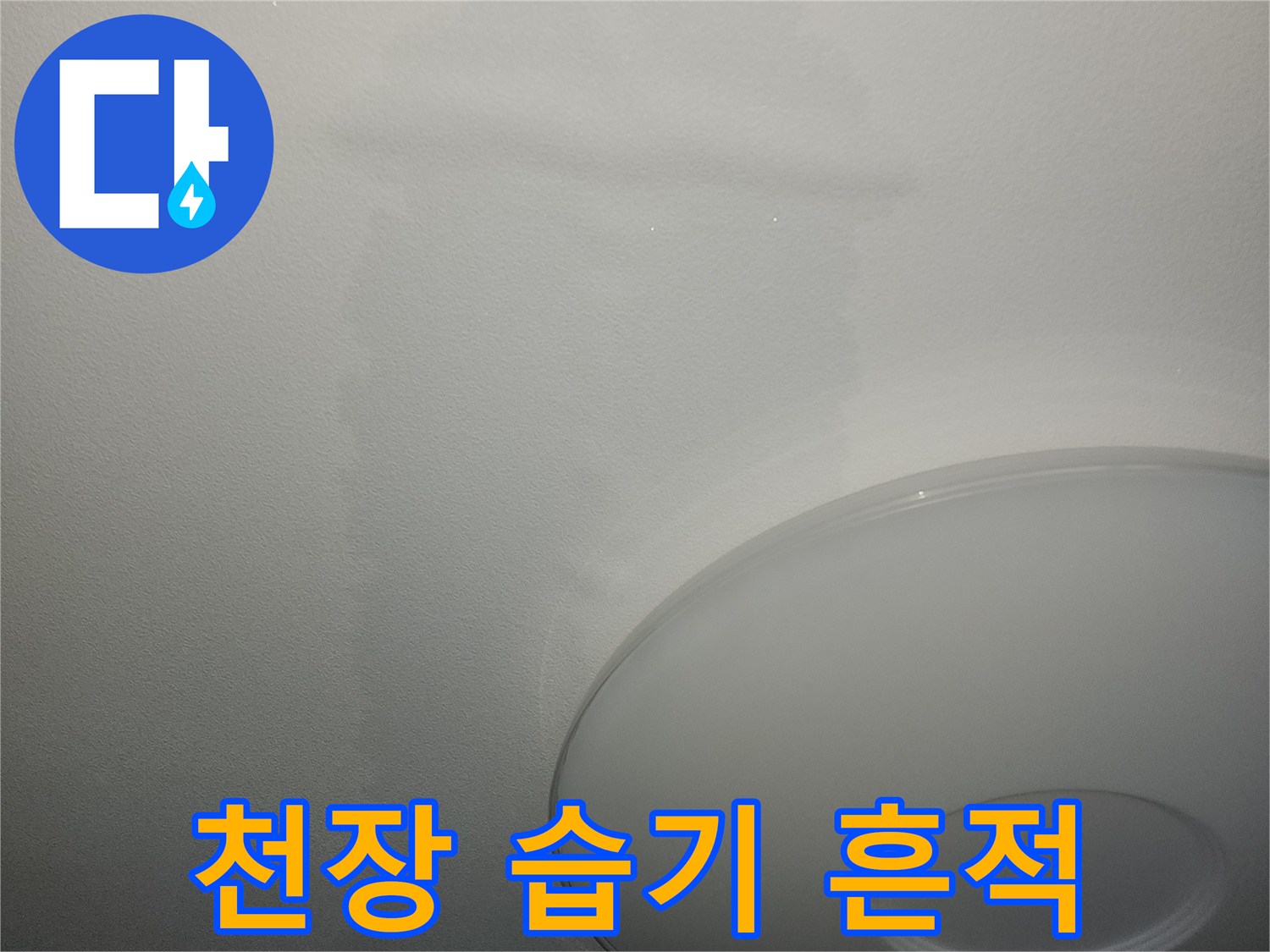 천장 조명 하단 젖은 부위 - 누수 탐지 대상 구역