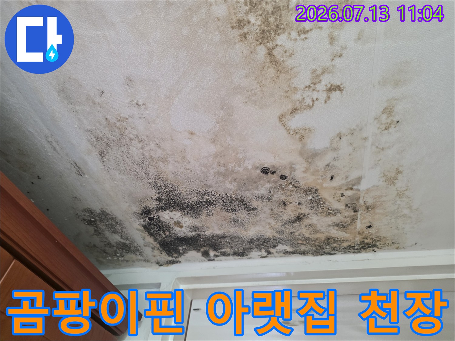 곰팡이와 습기로 오염된 아파트 현관 입구 천장 모습