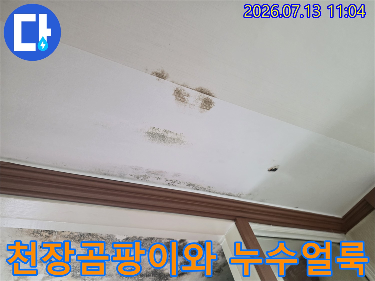 아파트 현관 천장에 발생한 습기 및 곰팡이 얼룩 흔적