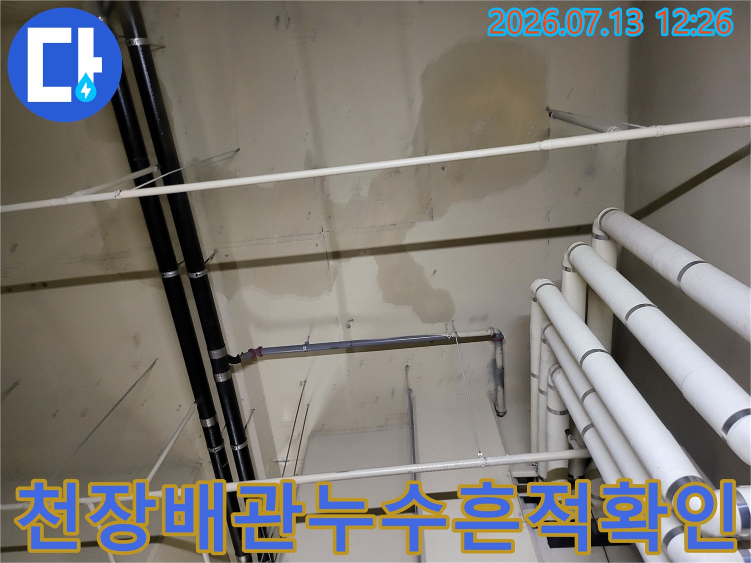 지하층 천장 배관 주변에 발생한 누수 흔적과 여러 가닥의 배관이 얽혀 있는 모습