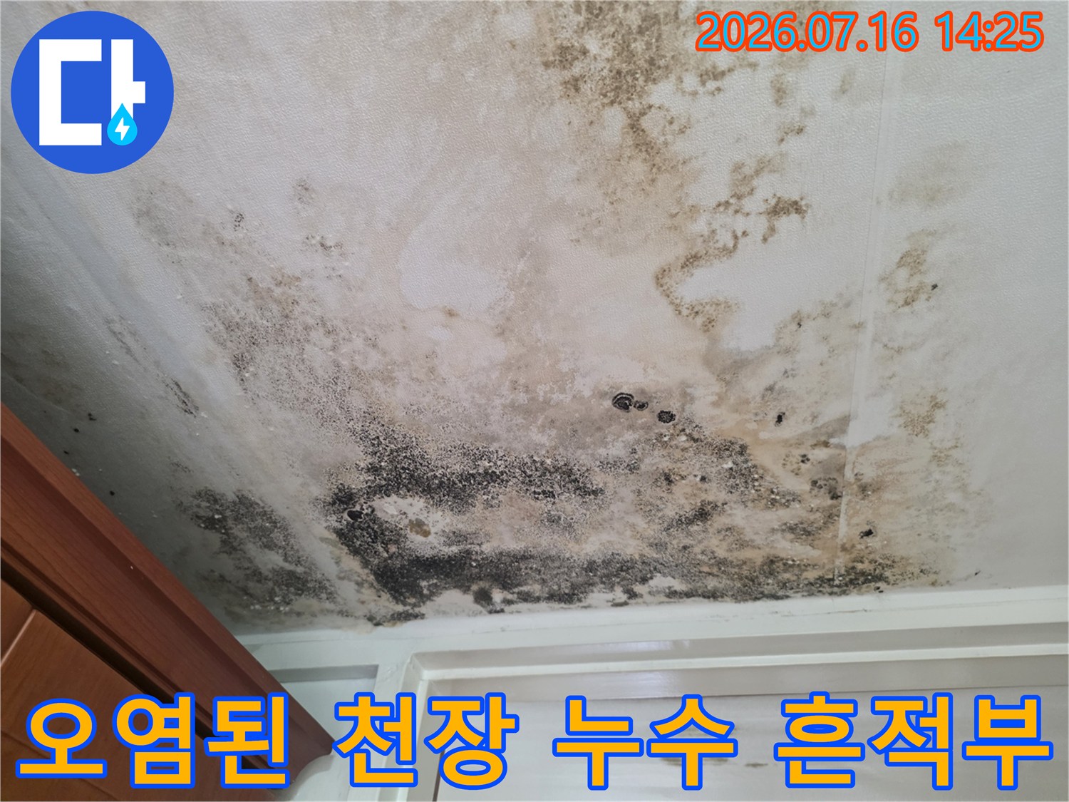 검은 곰팡이와 얼룩으로 오염된 실내 천장