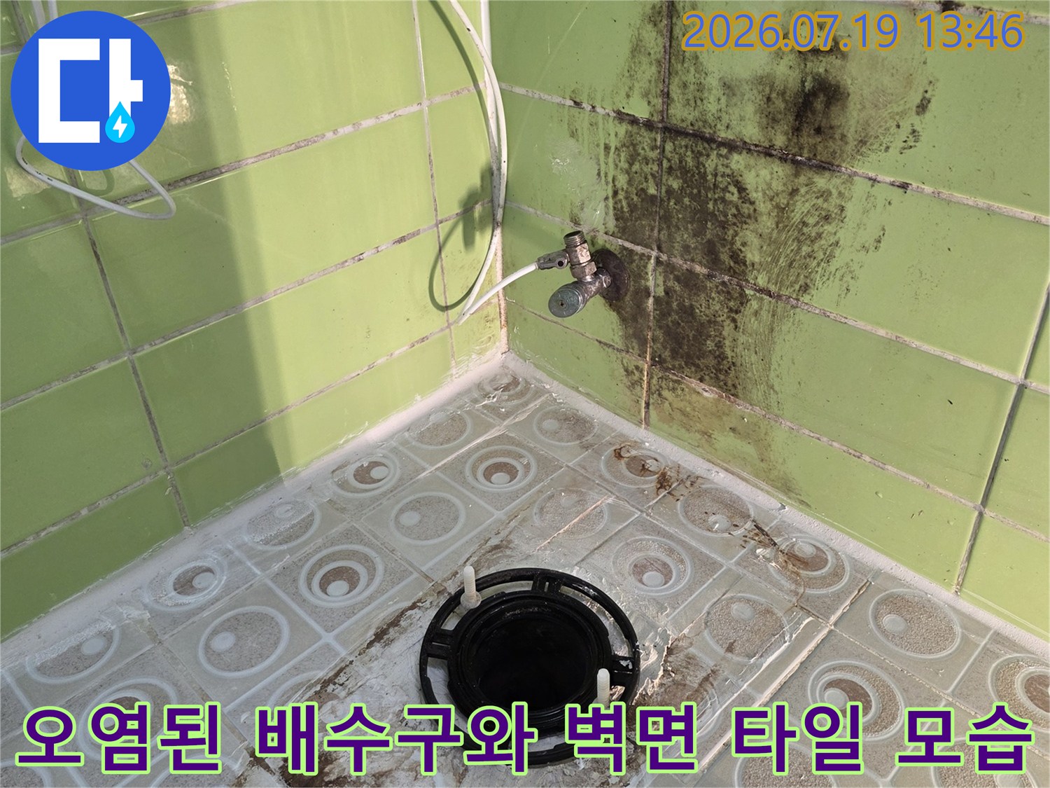 검은색 원형 배수구 주변의 타일 줄눈이 오염되고 벽면에 곰팡이가 핀 욕실 내부