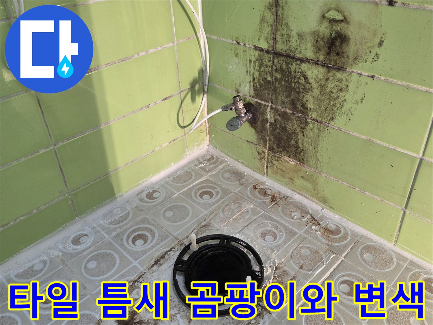 배수관-주변-타일-틈새의-심한-누수-흔적과-오염