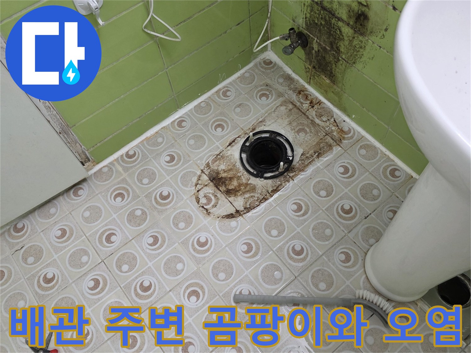 욕실 배관 주변의 곰팡이와 오염된 바닥 상태를 보여주는 사진