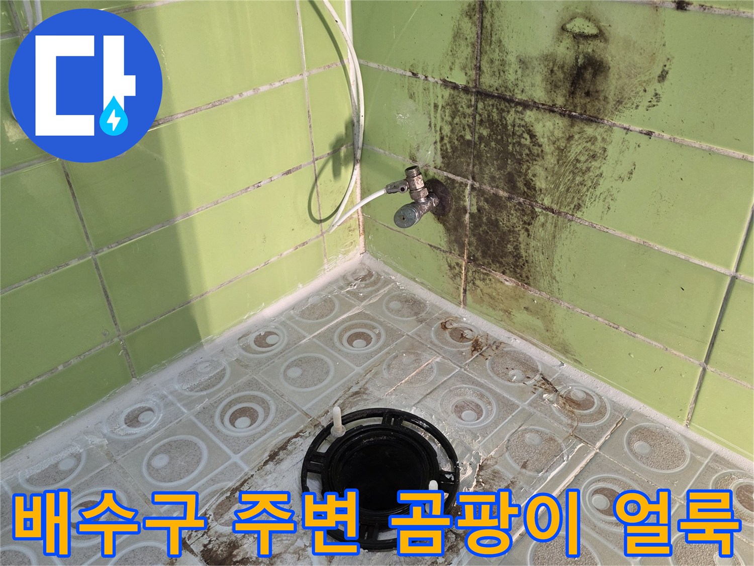 욕실-배수구-주변의-심한-곰팡이와-타일-오염-상태