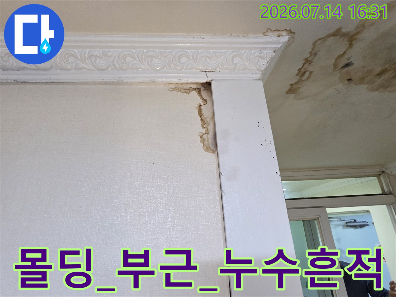 벽체와 천장 모서리 부위에 나타난 물샘 얼룩과 습기 흔적