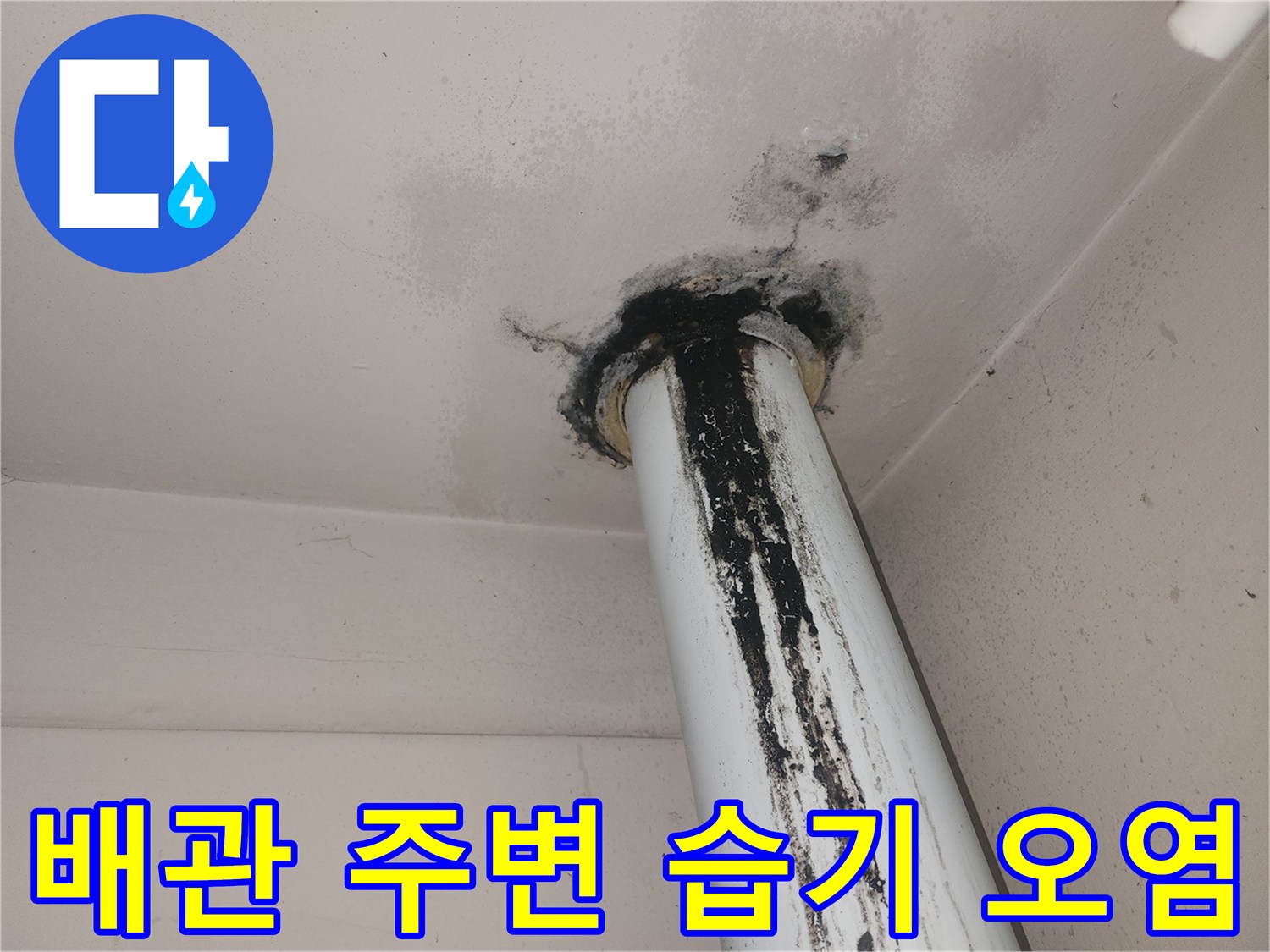 천장 마감재에 나타난 배관 주변의 검은 곰팡이