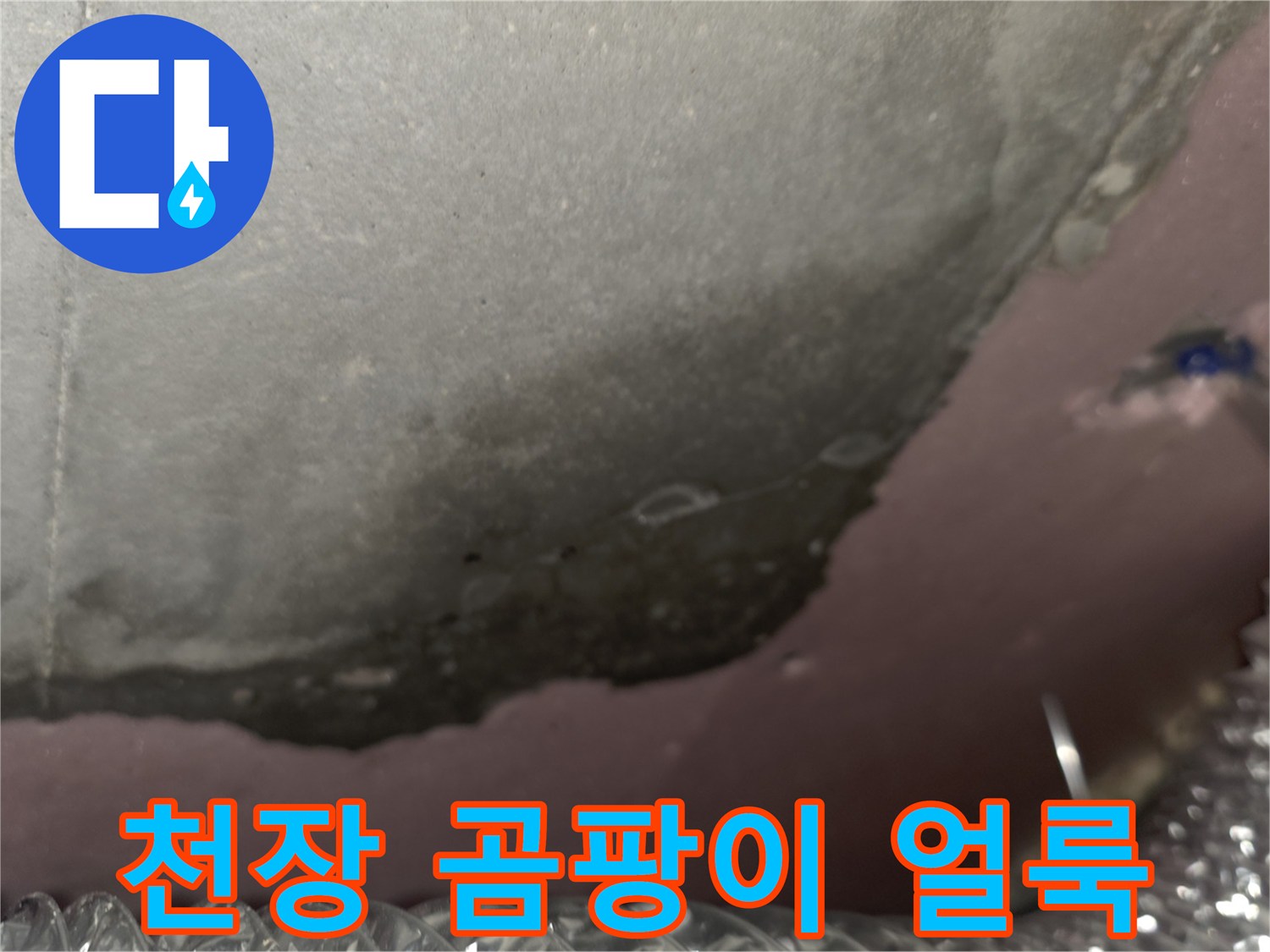아파트-천장-단열재-곰팡이-및-습기-상태